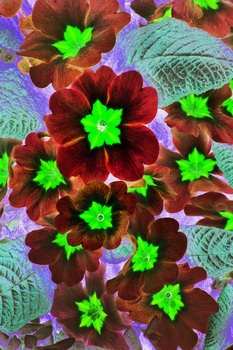 F 046B